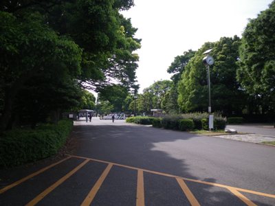 都道赤坂杉並線 代々木公園